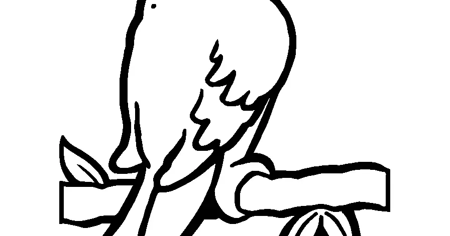 Gambar Mewarnai Burung Beo: Kegiatan Mendidik yang Menyenangkan untuk Anak-Anak