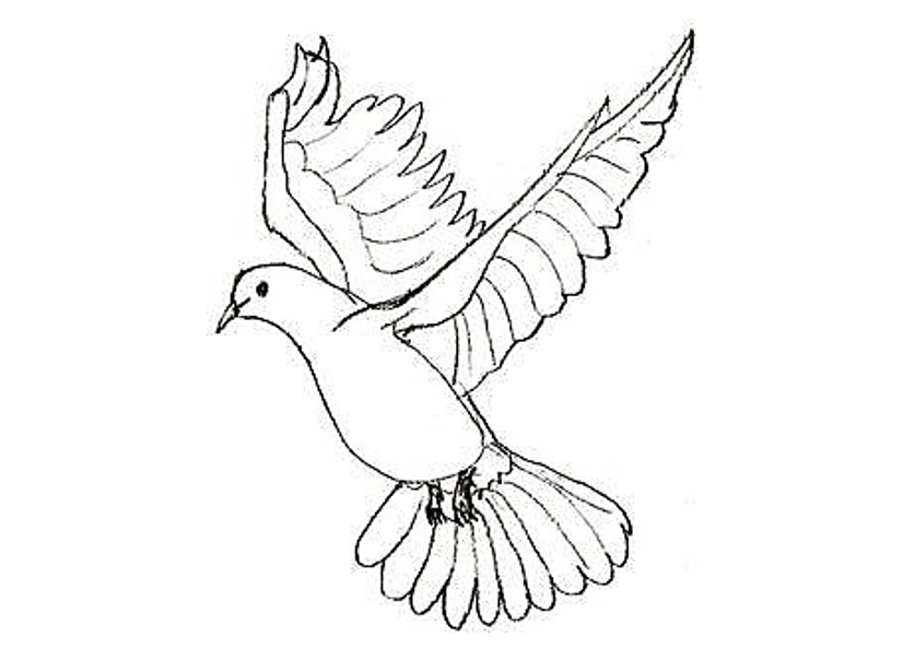 Cara Mudah Mewarnai Burung Dara untuk Pemula: 10 Gambar Mewarnai Burung Dara yang Lucu