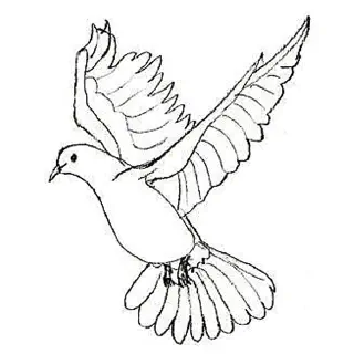 Cara Mudah Mewarnai Burung Dara untuk Pemula: 10 Gambar Mewarnai Burung Dara yang Lucu