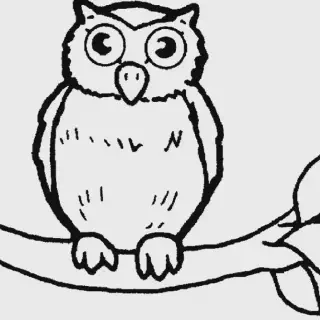 5 Langkah Mudah untuk Gambar Mewarnai Burung di Pohon untuk Pemula