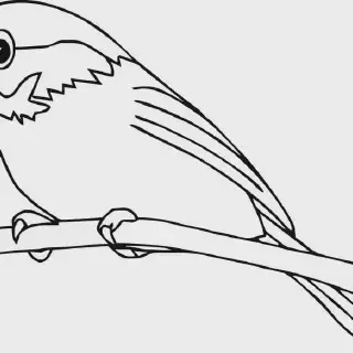 5 Ide Gambar Mewarnai Burung Hantu yang Kreatif dan Seru Untuk Anak-Anak