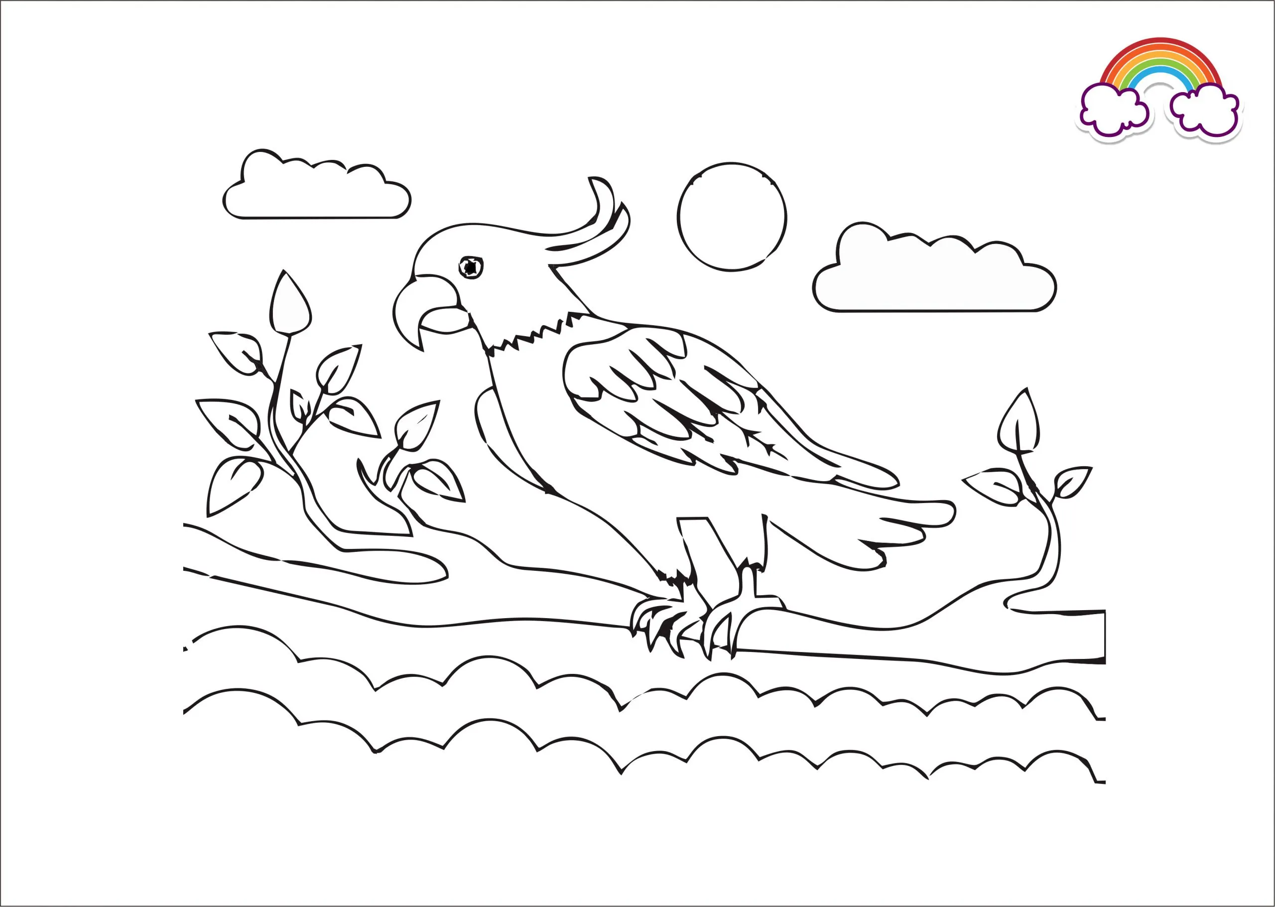 Gambar Mewarnai Burung Kakak Tua - Berbagai Koleksi Mewarnai Burung Kakak Tua Untuk Anak-Anak