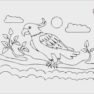 Gambar Mewarnai Burung Kakak Tua - Berbagai Koleksi Mewarnai Burung Kakak Tua Untuk Anak-Anak