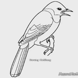 10 Gambar Mewarnai Burung Kutilang yang Lucu dan Menggemaskan untuk Anak-Anak