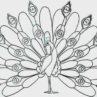 Mewarnai Burung Merak yang Cantik dan Menarik untuk Anak-Anak