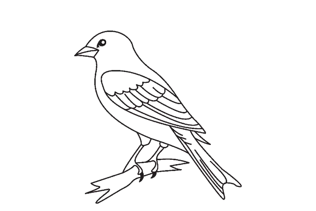 10 Contoh Gambar Mewarnai Burung untuk Anak-Anak