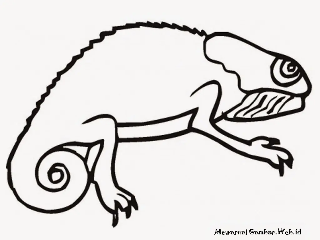 6 Gambar Mewarnai Cicak yang Seru dan Mudah untuk Anak-Anak