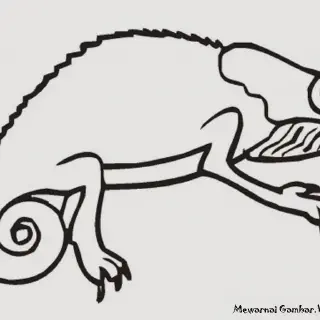 6 Gambar Mewarnai Cicak yang Seru dan Mudah untuk Anak-Anak