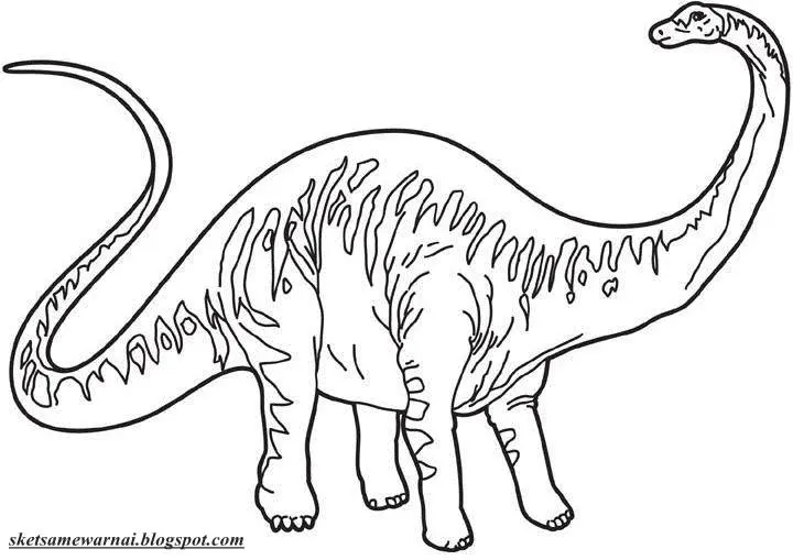 Belajar Mewarnai Dinosaurs Terbang Untuk Anak-Anak dengan Gambar Lebih Mudah dan Menyenangkan