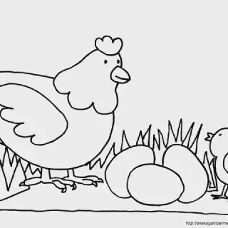 Mewarnai Hewan Ayam: Tips dan Trik untuk Anak-Anak yang Suka Menggambar