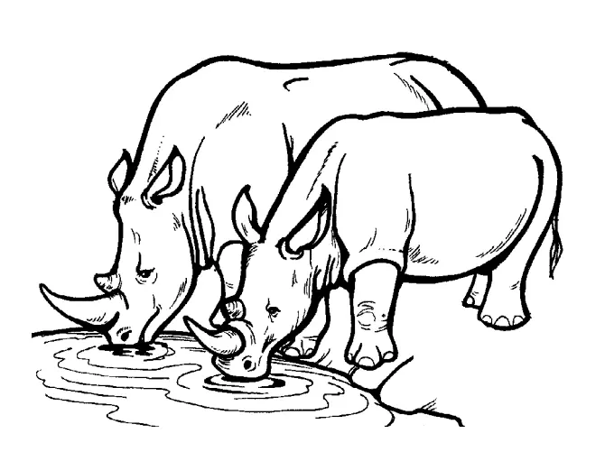 Mewarnai Hewan Badak - Menyenangkan dan Edukatif Untuk Anak-Anak!