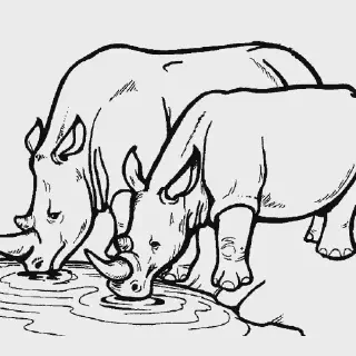 Mewarnai Hewan Badak - Menyenangkan dan Edukatif Untuk Anak-Anak!