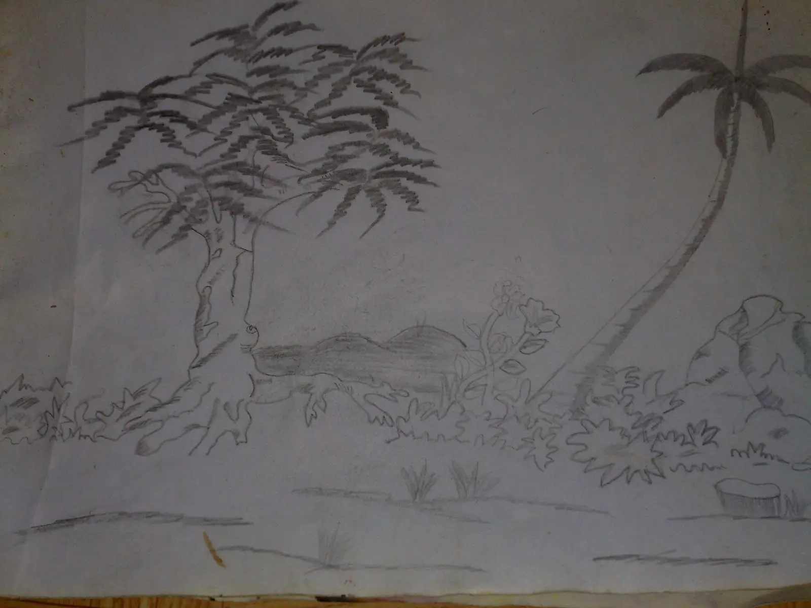 Gambar Mewarnai Hewan Berkaki Dua untuk Anak-anak: Kucing, Anjing, Kelinci dan Lainnya!