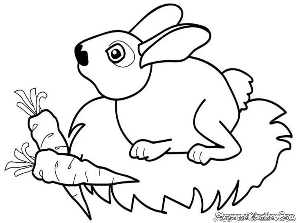 10 Gambar Mewarnai Hewan dan Buah Paling Lucu untuk Anak-anak Belajar Warna