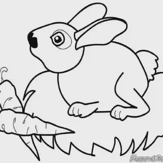 10 Gambar Mewarnai Hewan dan Buah Paling Lucu untuk Anak-anak Belajar Warna