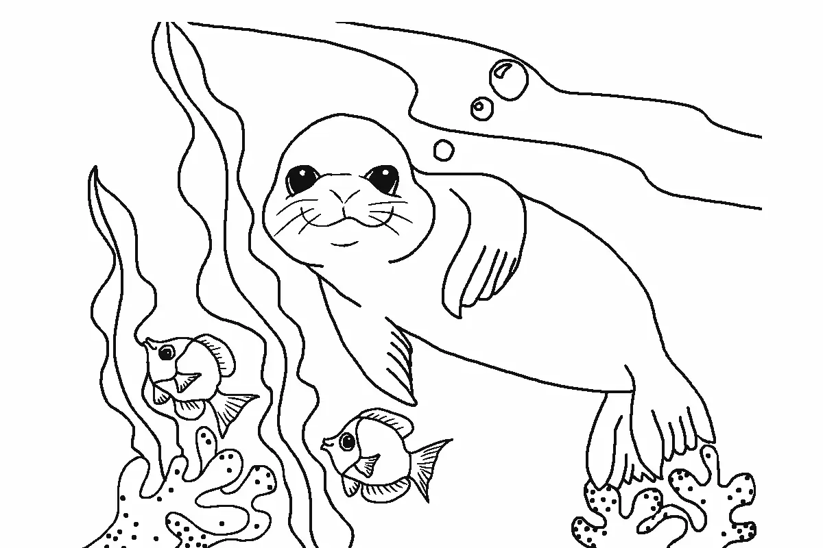 20+ Gambar Mewarnai Hewan di Laut Untuk Anak-Anak | Belajar Mengenal Fauna Laut