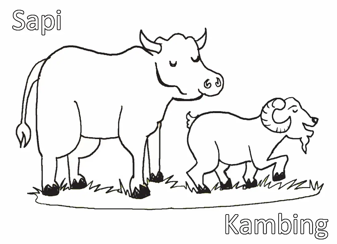 10 Gambar Mewarnai Hewan Hitam Putih Yang Menggemaskan!