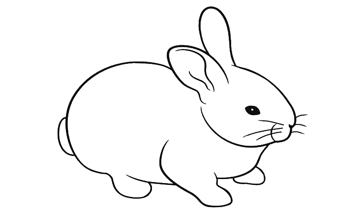 Cara Mudah Mewarnai Gambar Hewan Kelinci dengan Gambar Mewarnai Hewan Kelinci yang Lucu