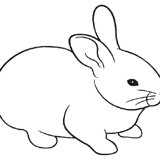Cara Mudah Mewarnai Gambar Hewan Kelinci dengan Gambar Mewarnai Hewan Kelinci yang Lucu