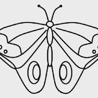 10 Ide Menarik Gambar Mewarnai Hewan Kupu-Kupu Untuk Anak-Anak