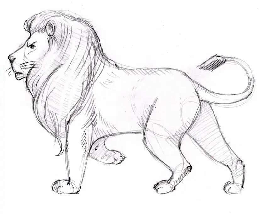 Belajar Gambar Mewarnai Hewan Singa untuk Anak-Anak: Langkah Demi Langkah Tutorial