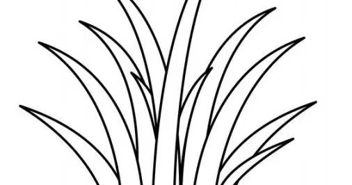 Mencoba Gambar Mewarnai Rumput dan Bunga - Cara Sederhana untuk Menyeimbangkan Kehidupan