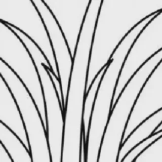 Mencoba Gambar Mewarnai Rumput dan Bunga - Cara Sederhana untuk Menyeimbangkan Kehidupan