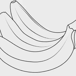 Gambar Mewarnai Tanaman Buah: Cara Mengasah Kreativitas Anak dengan Warna-warni Buah-buahan