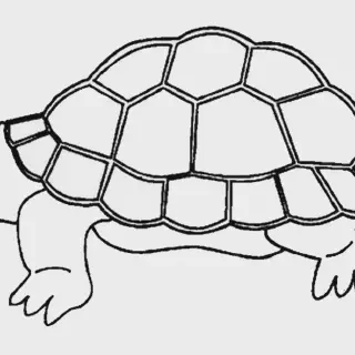 10 Tema Hewan dan Tumbuhan Unik untuk Dijadikan Gambar Mewarnai