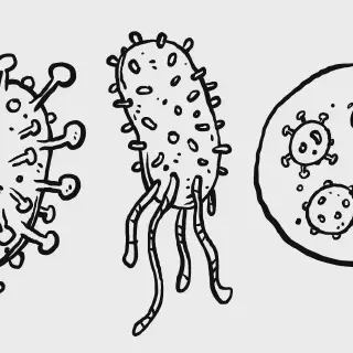 Belajar Mewarnai Tentang Virus Corona Untuk Anak SD: Gambar Mewarnai yang Lucu dan Edukatif