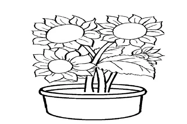10 Gambar untuk Mewarnai Bunga Matahari yang Keren dan Mudah Dilakukan