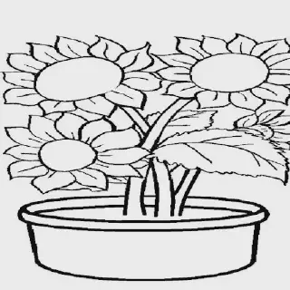 10 Gambar untuk Mewarnai Bunga Matahari yang Keren dan Mudah Dilakukan