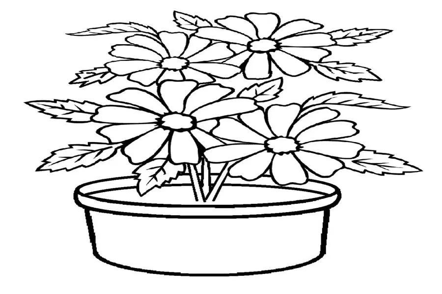Lembar Mewarnai Gambar Bunga: Aktivitas Seru dan Berfaedah Untuk Anak-Anak