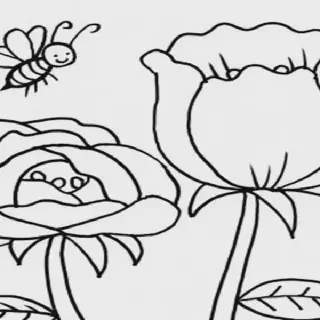 Make Your Dream Come True Through Lomba Gambar Mewarnai Bunga Competition