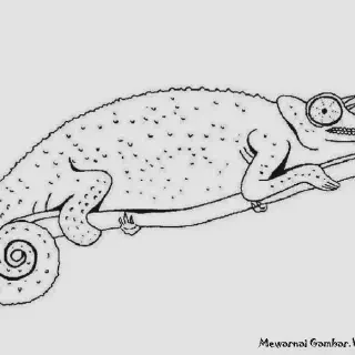 Mewarna Gambar Cicak - Kreasi yang Mengasah Kreativitas dengan Mengenal Hewan Liar yang Lucu