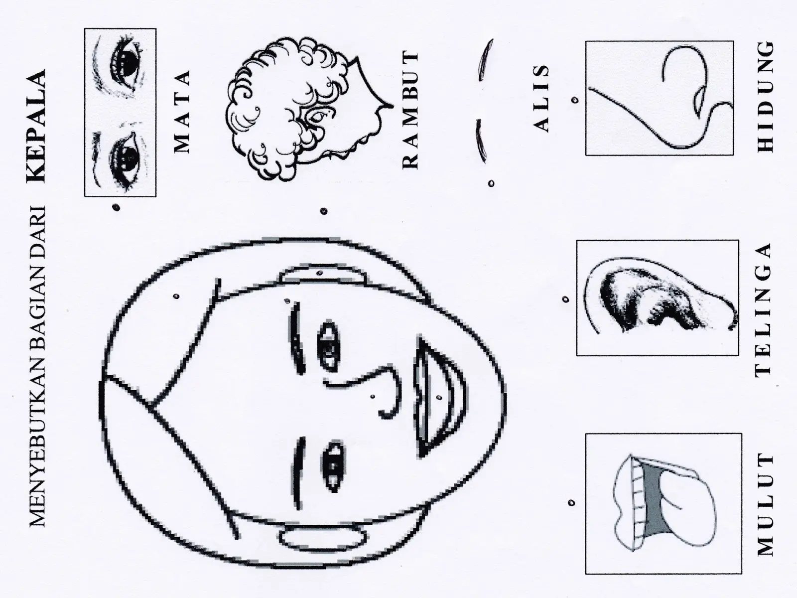 Cara Mewarnai Gambar Anak PAUD Tema Diri Sendiri yang Seru dan Edukatif