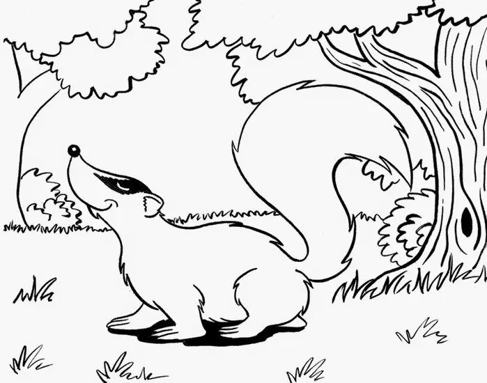 Seru! Mewarnai Gambar Binatang Hutan untuk Pemula