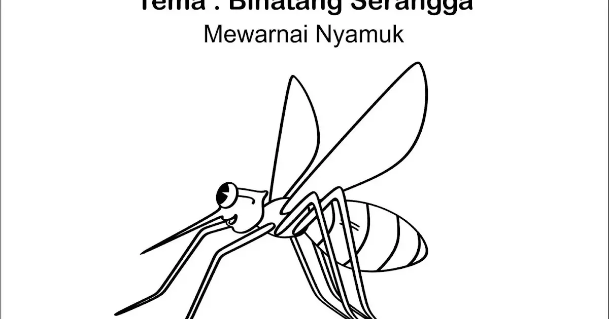 Mewarnai Gambar Binatang Nyamuk - Cara Menyenangkan Mengenal Ekosistem Nyamuk di Sekitar Kita