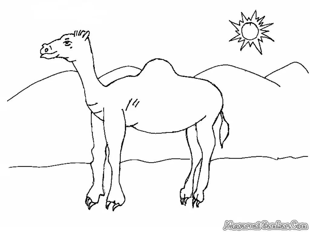 Mewarnai Gambar Binatang Unta â€“ Cara Mudah dan Seru untuk Anak-Anak Belajar Menggambar dan Mengenal Hewan Gurun