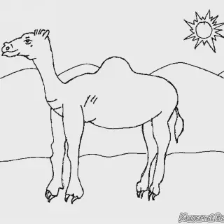 Mewarnai Gambar Binatang Unta â€“ Cara Mudah dan Seru untuk Anak-Anak Belajar Menggambar dan Mengenal Hewan Gurun