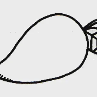 Mengenal Lebih Dekat Buah Mangga dan Bagaimana Cara Mewarnainya