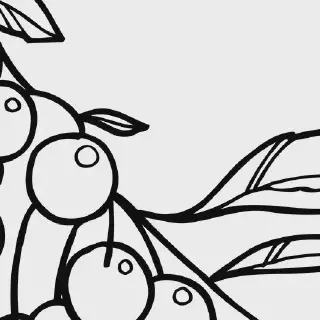 Ini Dia Cara Mewarnai Gambar Buah Cherry yang Benar untuk Pemula