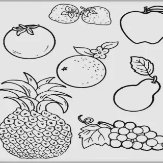 10 Ide Mewarnai Gambar Buah di Keranjang untuk Anak-anak