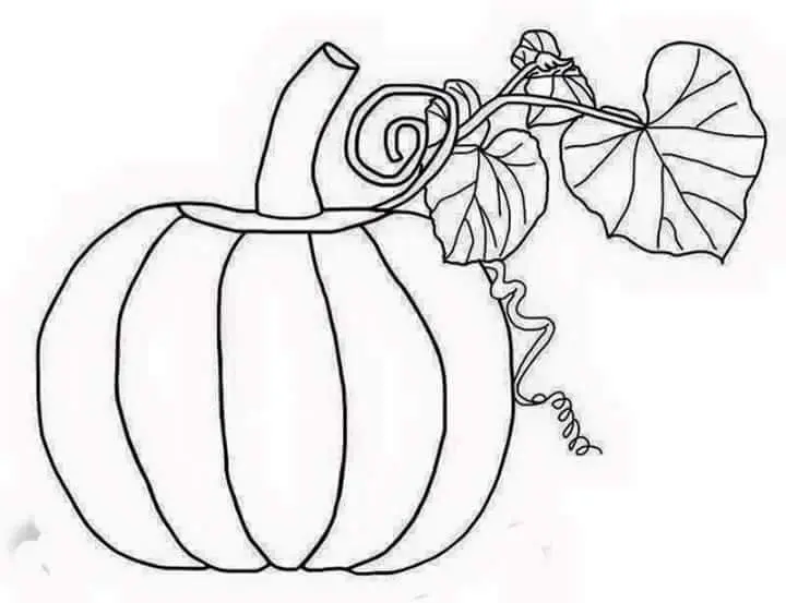 Mewarnai Gambar Buah Labu: Aktivitas Menarik dan Edukatif untuk Anak-Anak