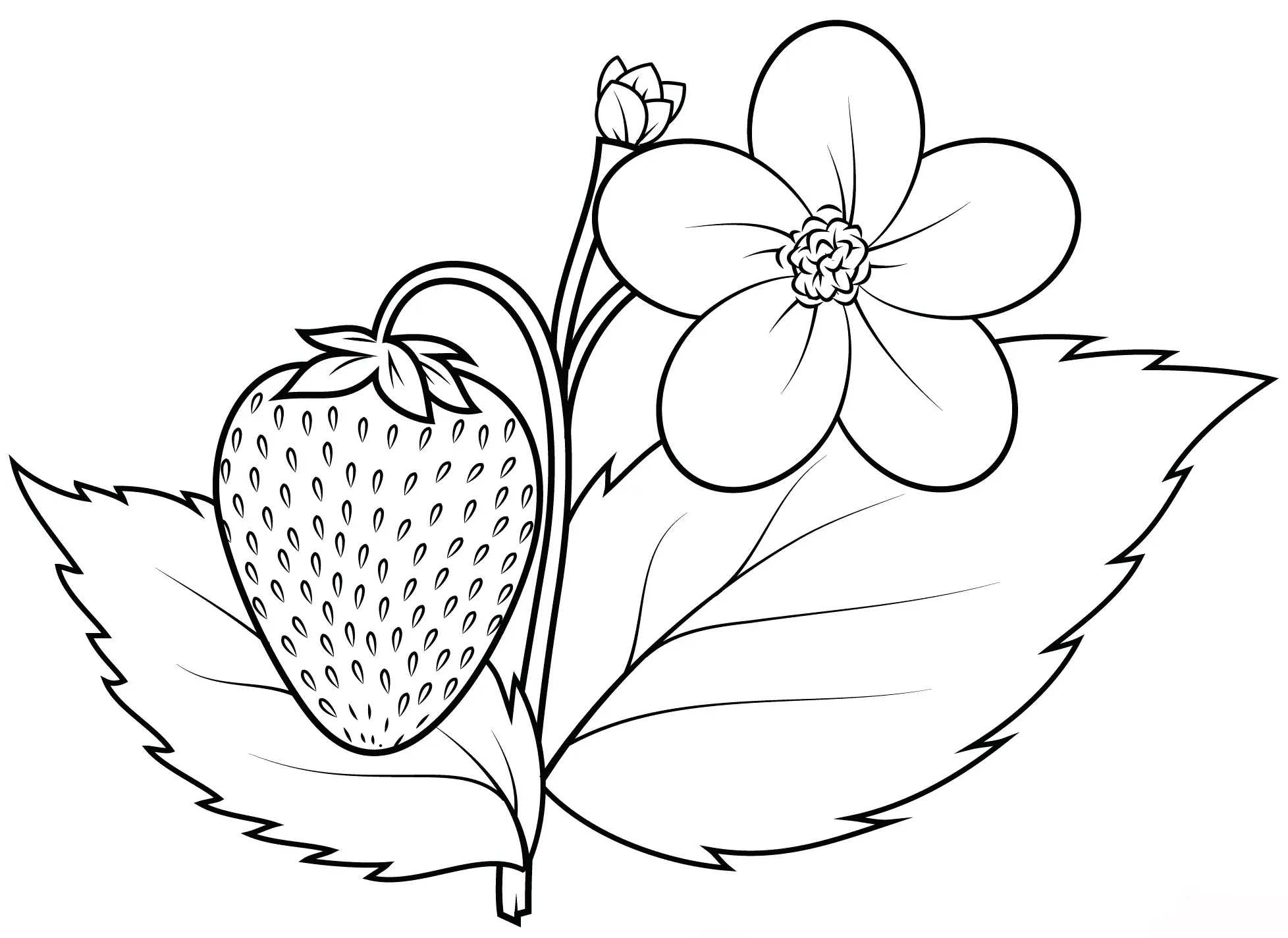 Kreasikan Gambar Buah Strawberrymu dengan Cara Mewarnainya yang Mudah