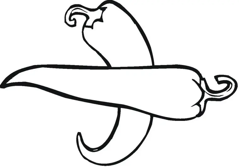 Mewarnai Gambar Buah Terong dengan Mudah dan Menyenangkan