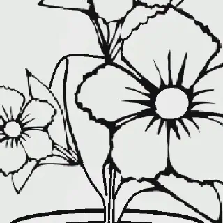 Mewarnai Gambar Bunga Kenanga - 10 Tips untuk Membuatnya Lebih Menarik