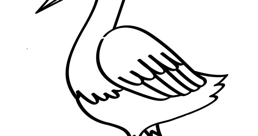 10 Cara Mewarnai Gambar Burung Bangau dengan Mudah dan Menyenangkan untuk Pemula