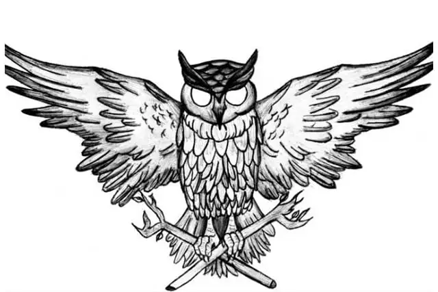 Mewarnai Gambar Burung Hantu dengan Biji-bijian: Cara Mudah dan Menyenangkan untuk Anak-Anak