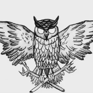 Mewarnai Gambar Burung Hantu dengan Biji-bijian: Cara Mudah dan Menyenangkan untuk Anak-Anak